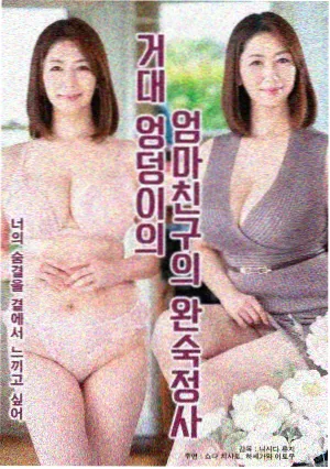 午后三点的猫